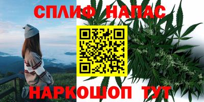 дживик Ставрополь