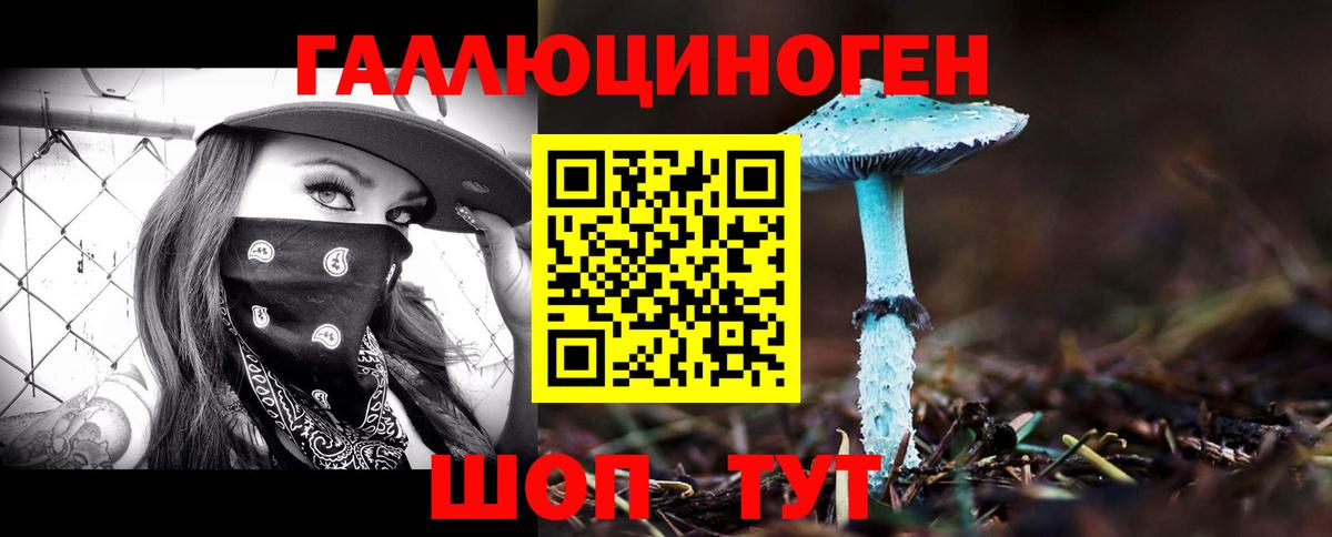 Галлюциногенные грибы MAGIC MUSHROOMS Чебоксары