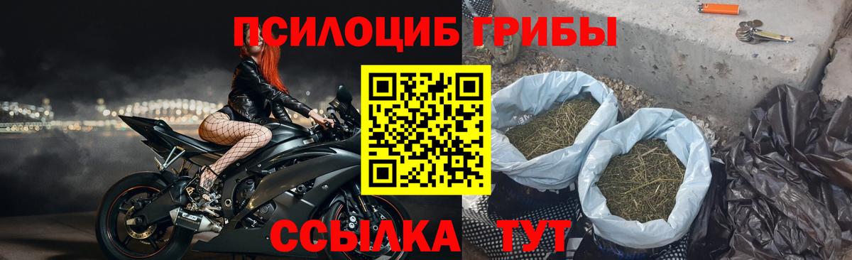 Галлюциногенные грибы Psilocybine cubensis  Псилоцибиновые грибы прущие грибы  Чебоксары  Вход с VPN 